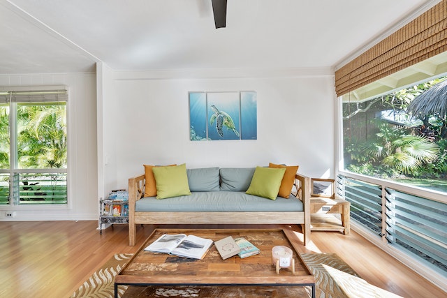 De kunst van open planken in de woonkamer